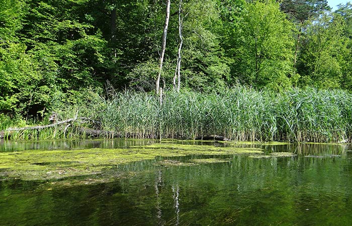 Majkowice – Trzy Morgi